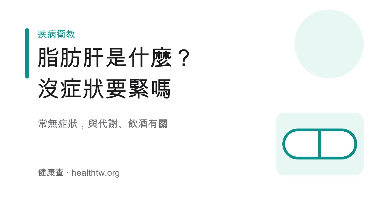 脂肪肝成因與生活調整基本認識示意圖