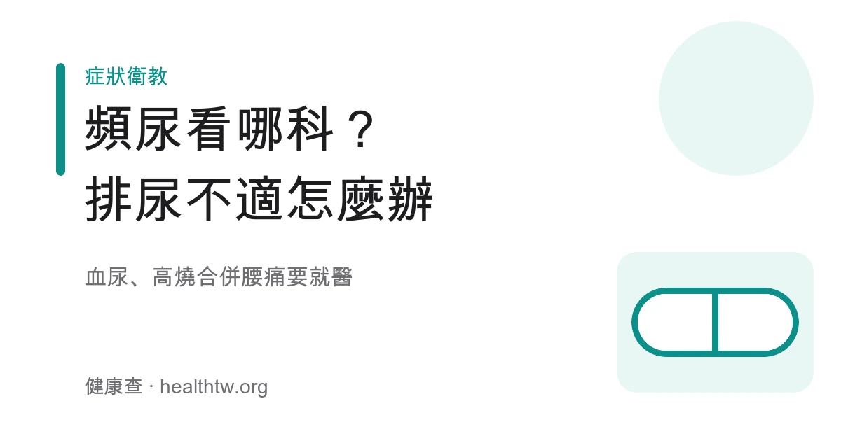 頻尿排尿不適看泌尿科腎臟科方向示意圖