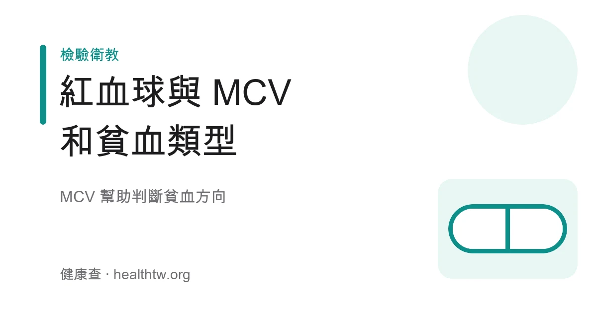 紅血球 MCV 血球大小貧血示意圖