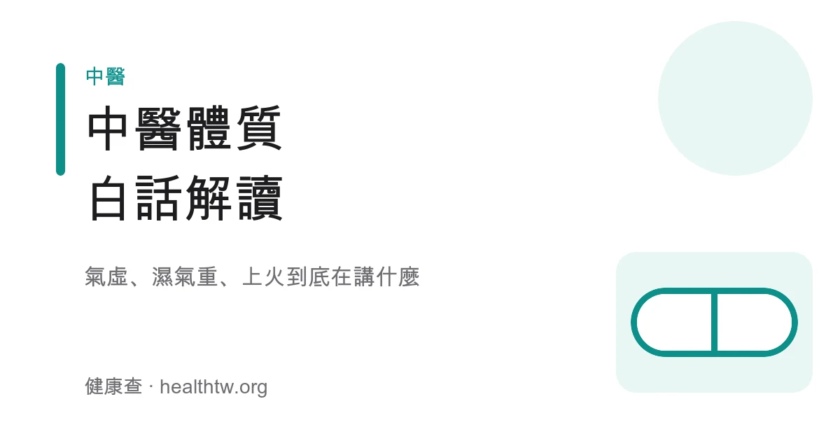 中醫體質氣虛濕氣上火白話解讀衛教示意圖